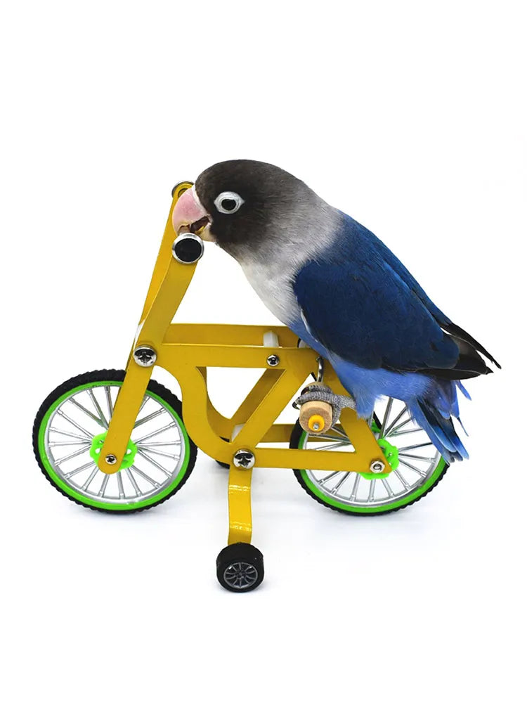 Training Toy Parrot Bike Toy Four-Wheel