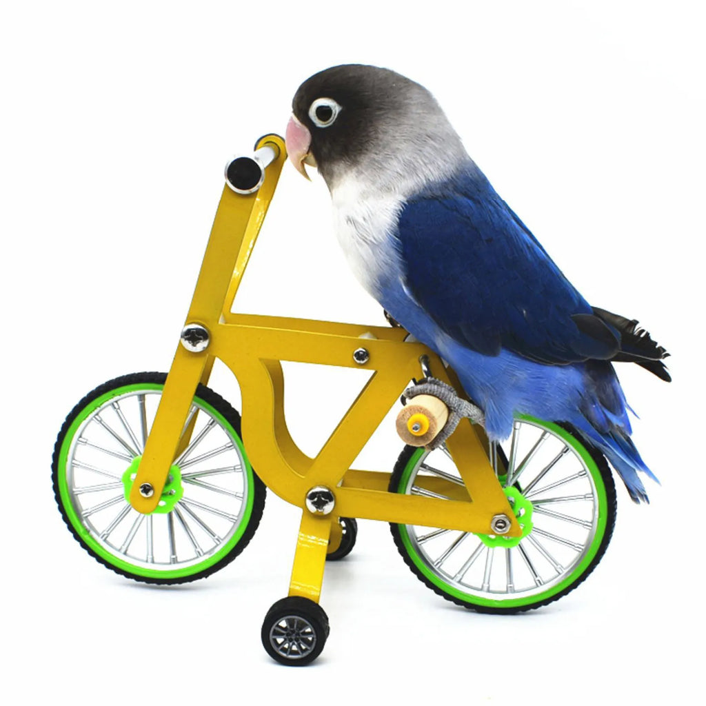 Training Toy Parrot Bike Toy Four-Wheel