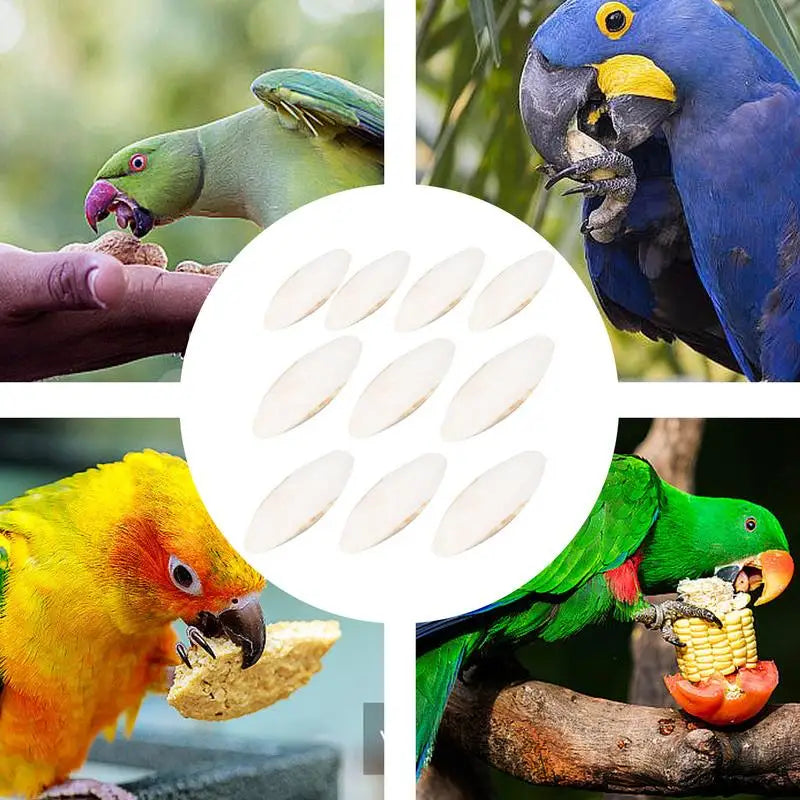 Natural Bird Cuttlebone