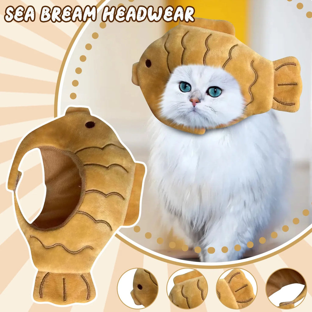 Cartoon Cat Hat Cute Fish Shape