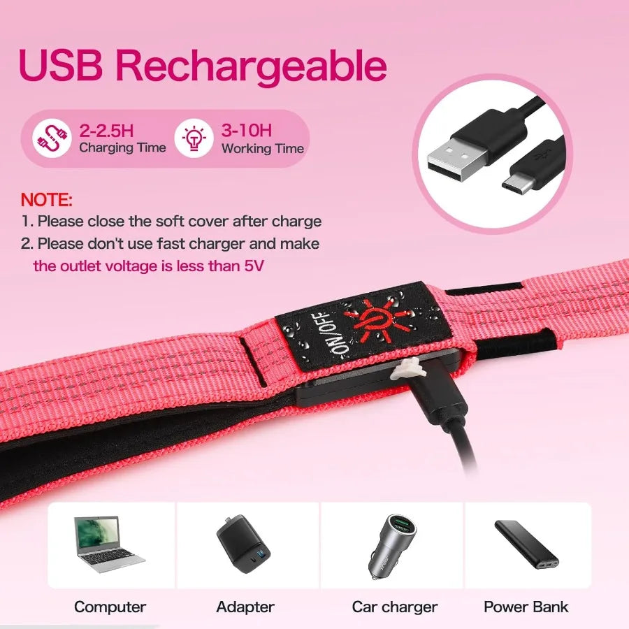 Light Up Dog Leash 4ft LED Dog Leash Rechargeable Puppy Lead Waterproof Safety Glow in The Dark Pet Lights for Night Walking in
