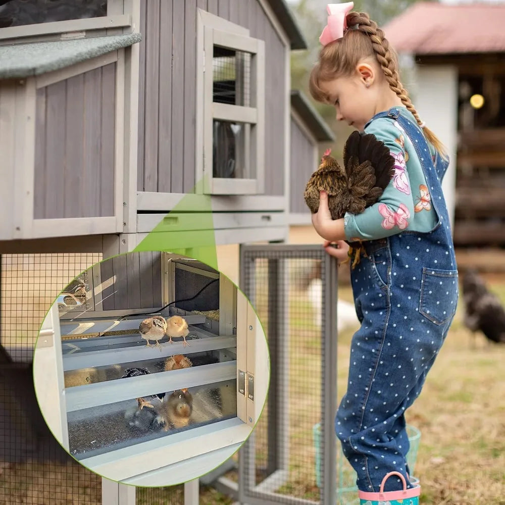 Run for 4-6 Chickens 26ft²-Super Easy to Assemble