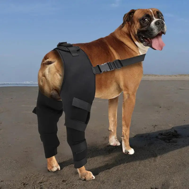 Dog Hip Brace Adjustable Pet Dog Legs Protector Supporter
