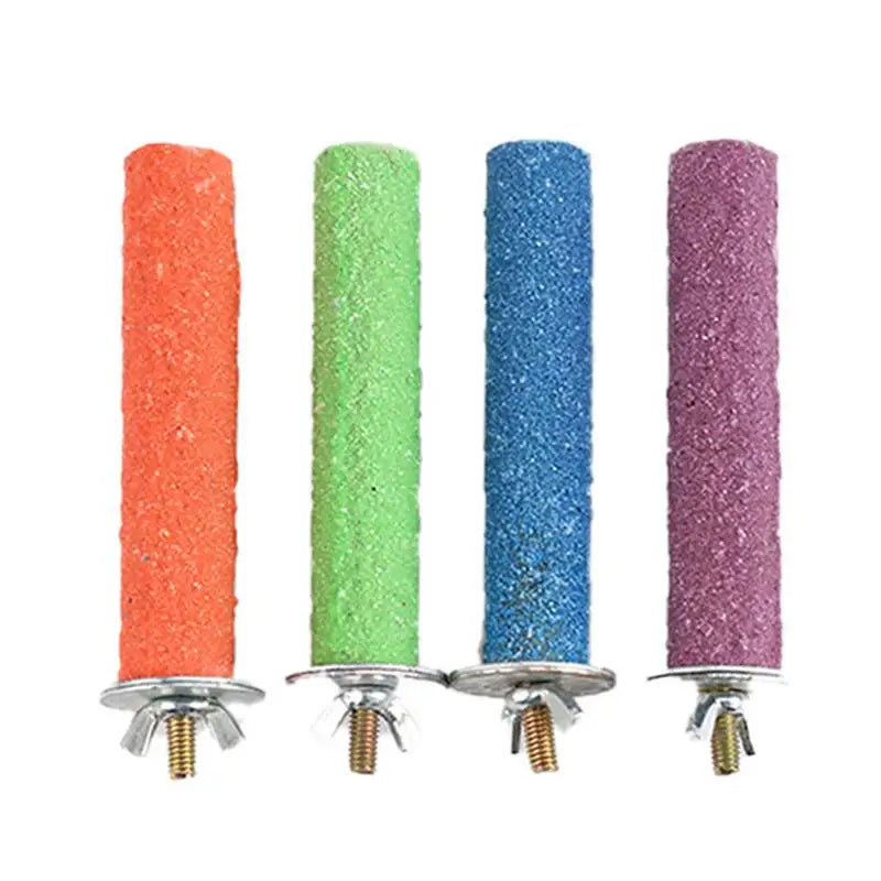 Bird Standing Stick Parrot