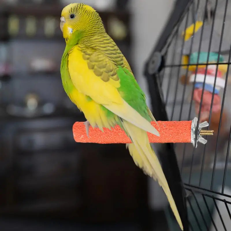 Bird Standing Stick Parrot