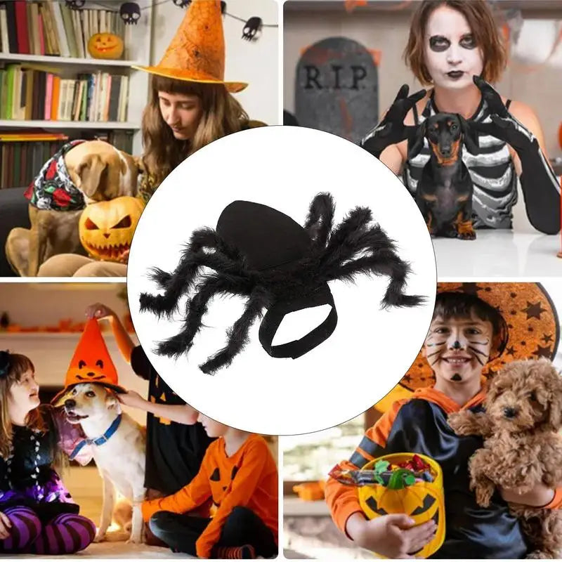 Spider Costume For Dogs