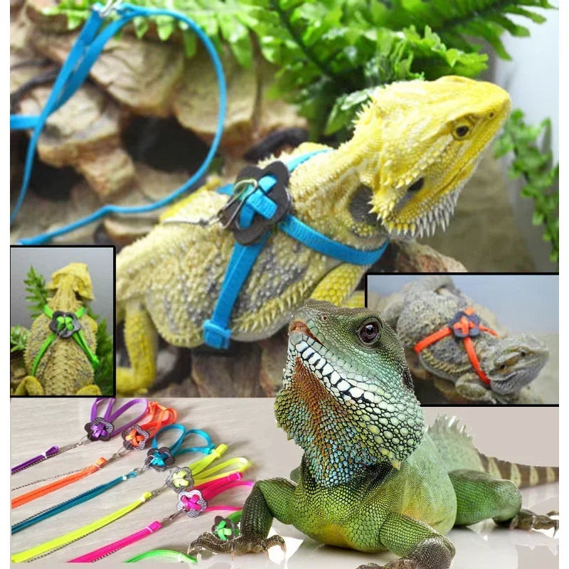 Reptile Leash Lizard Traction Rope