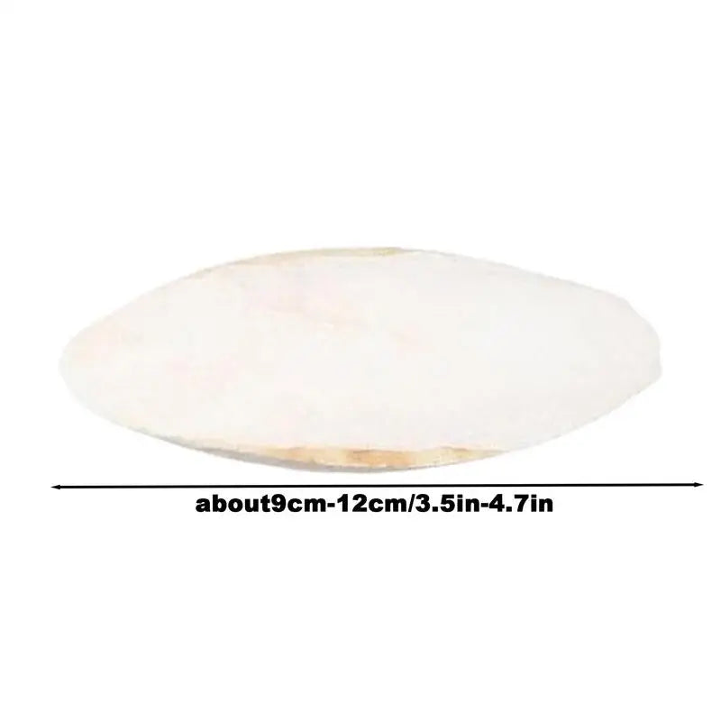 Natural Bird Cuttlebone