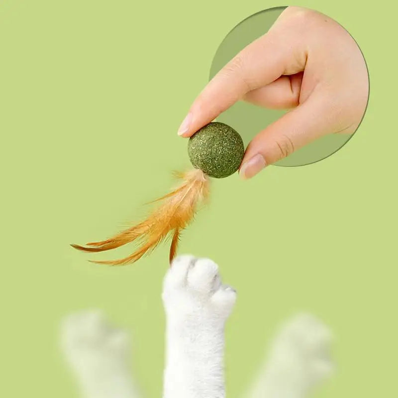 Cat Toys Catnip Kitten Catnip Feather Ball