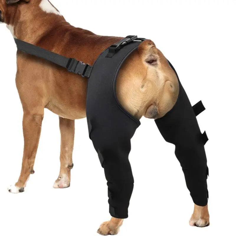 Dog Hip Brace Adjustable Pet Dog Legs Protector Supporter