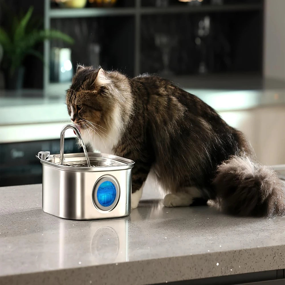 3.2L Stainless Steel Pet Water Feeder Auto