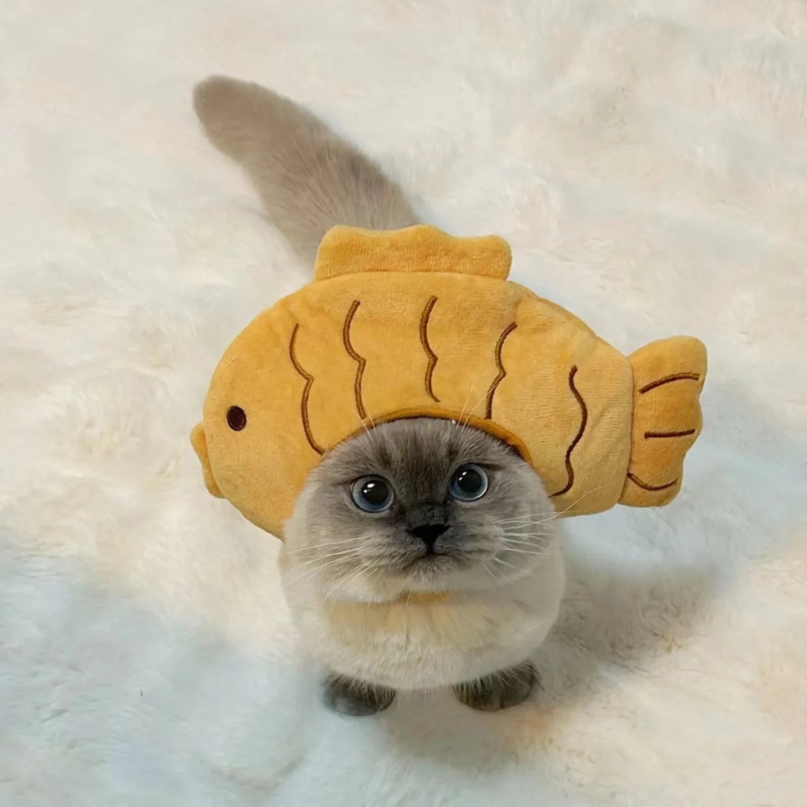 Cartoon Cat Hat Cute Fish Shape