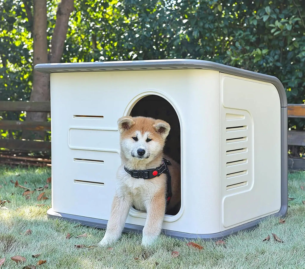 ‌Double-Wall Insulated Dog House Outdoor Indoor