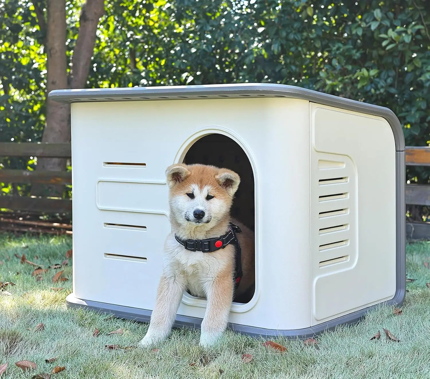 ‌Double-Wall Insulated Dog House Outdoor Indoor