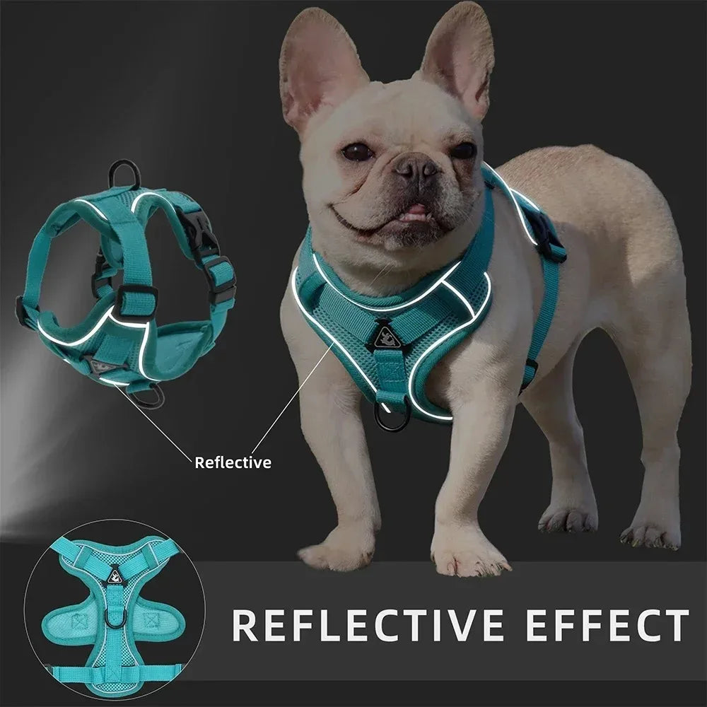 No Pull Dog Harness and Leash Set Adjustable