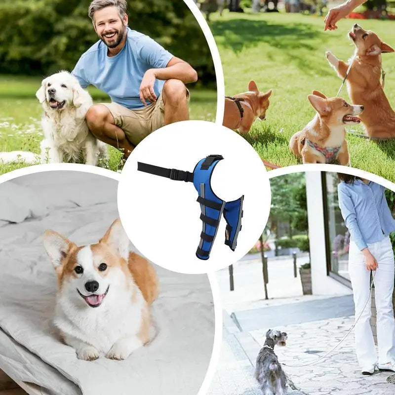 Dog Hip Brace Pet Orthopedic Joint Support Brace