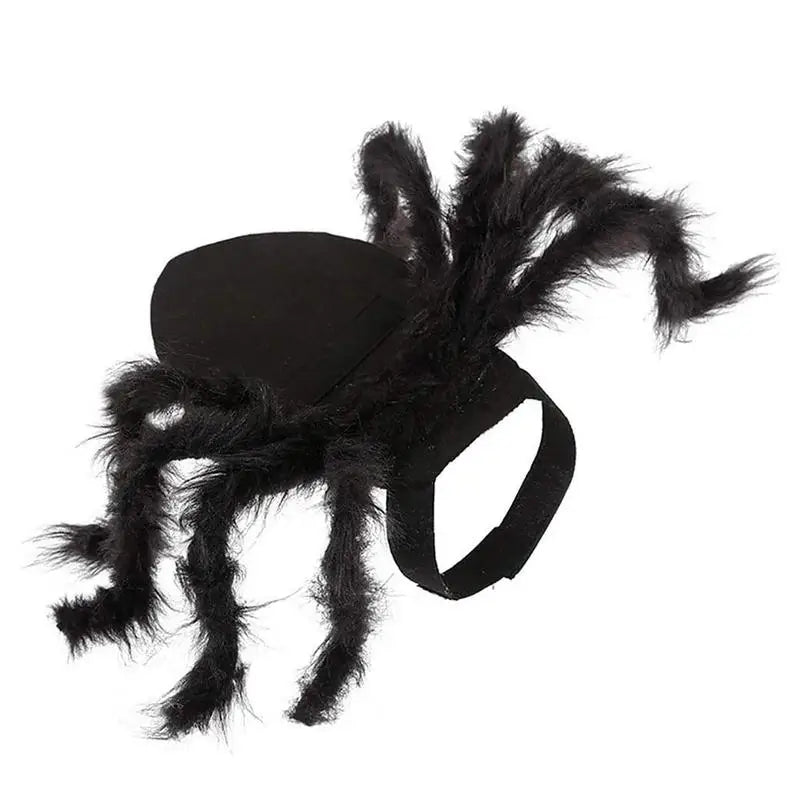 Spider Costume For Dogs