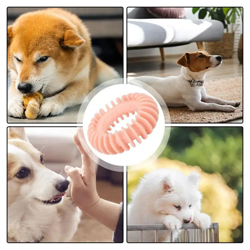 Teething Dog Toys For Puppies