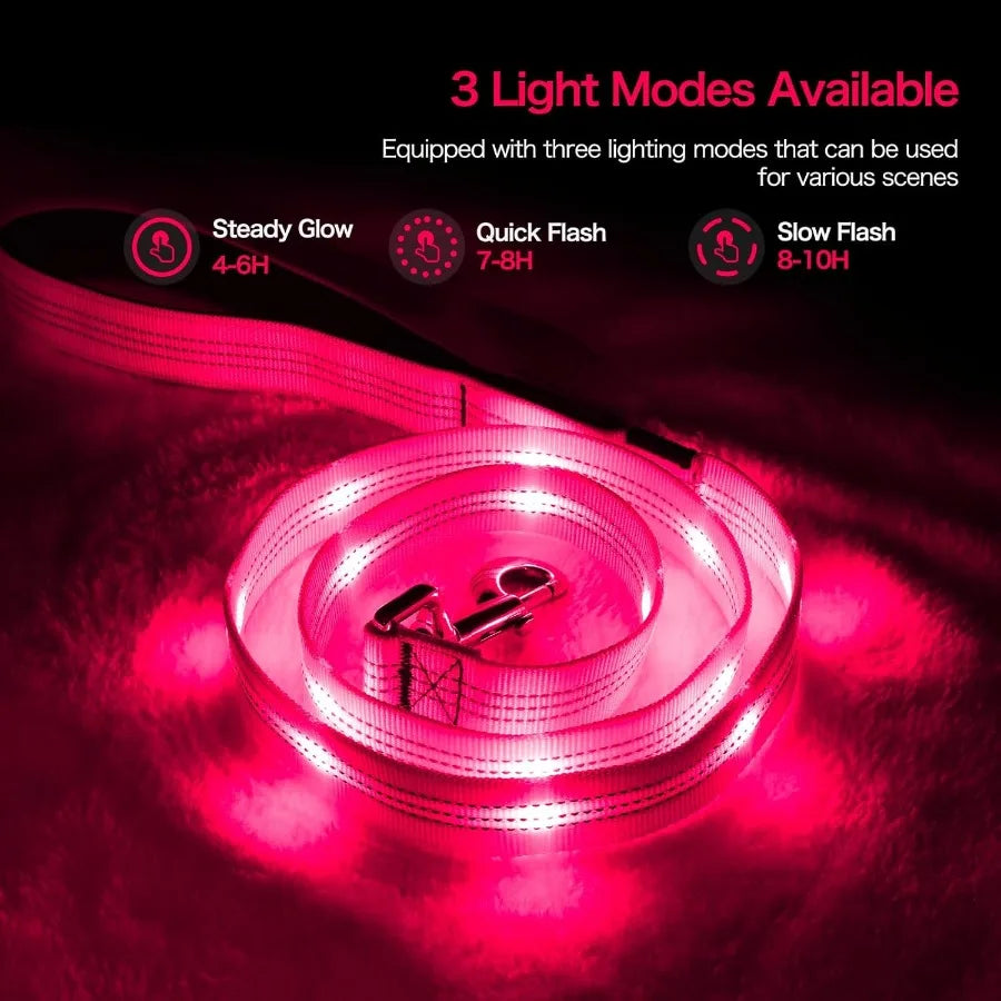 Light Up Dog Leash 4ft LED Dog Leash Rechargeable Puppy Lead Waterproof Safety Glow in The Dark Pet Lights for Night Walking in