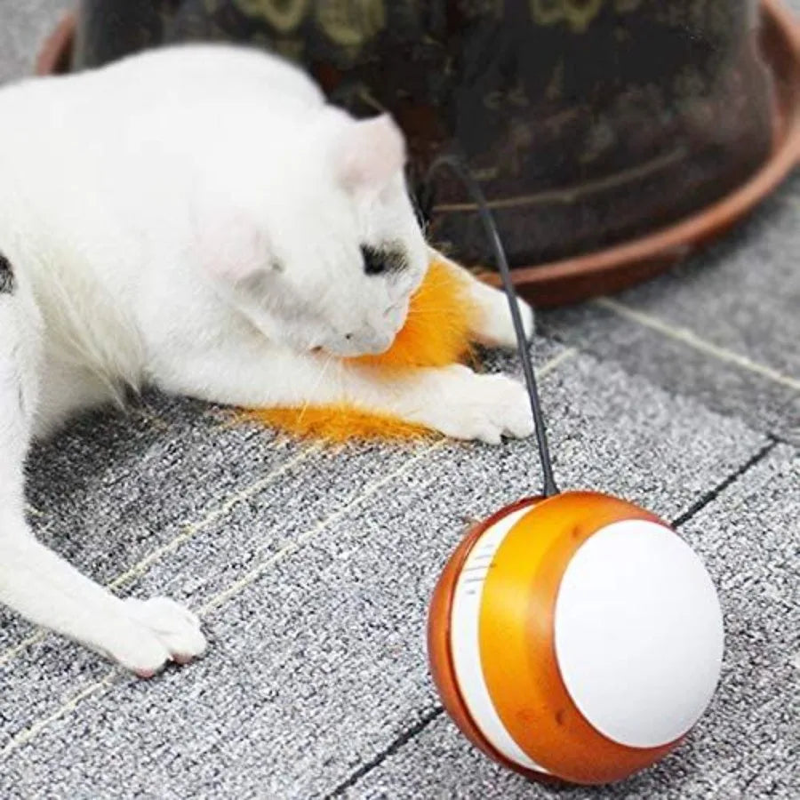 Rolling Pet Toys Interactive 360 Degree Automatic Self Rotating LED Light Sound