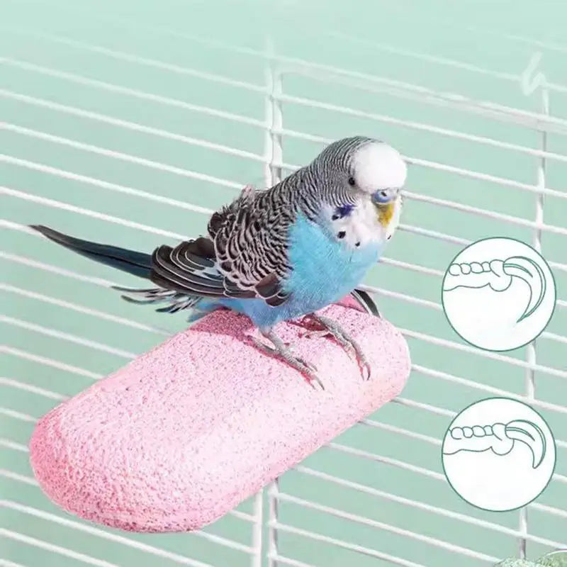 Bird Perches For Cage Ice Cream