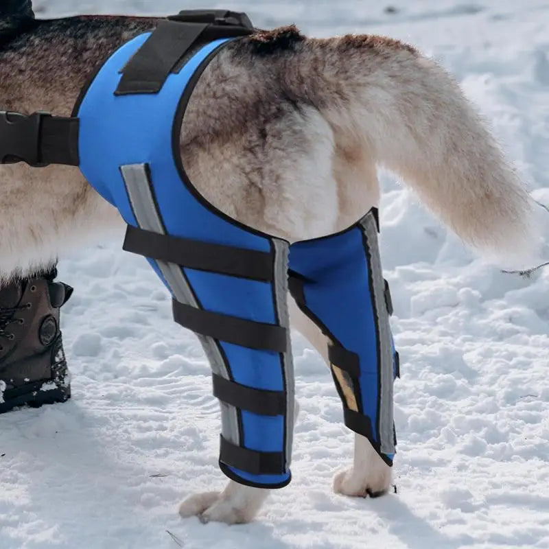 Dog Hip Brace Pet Orthopedic Joint Support Brace