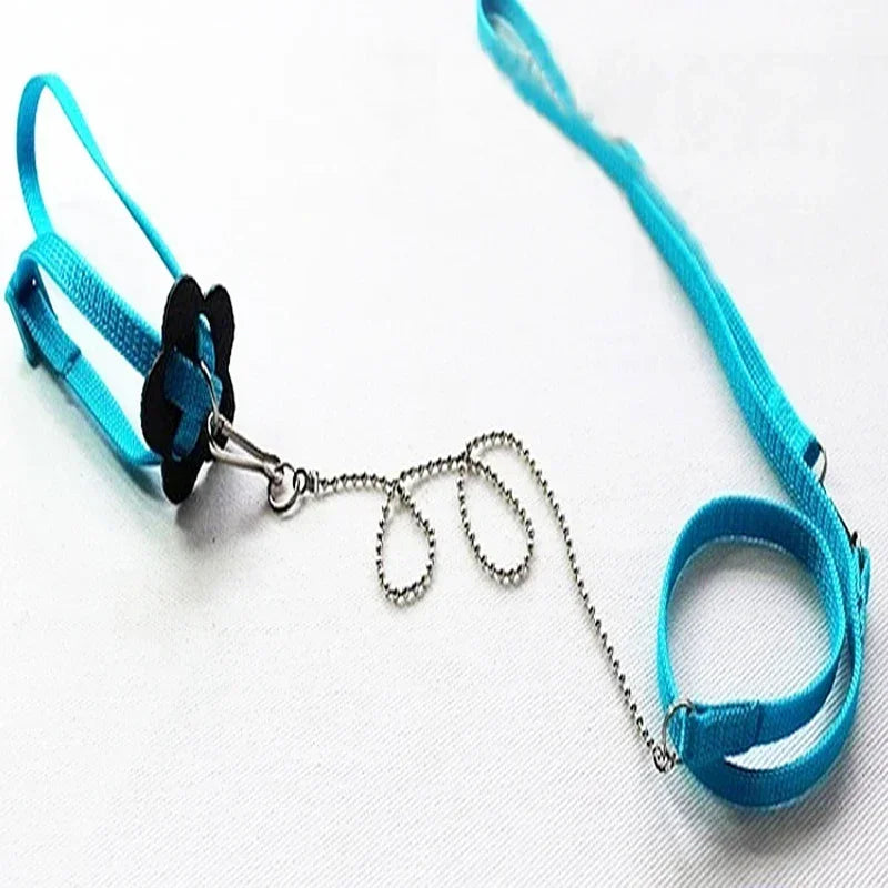 Reptile Leash Lizard Traction Rope