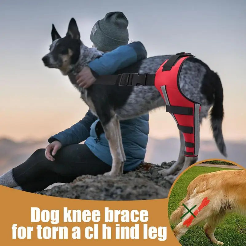 Dog Hip Brace Pet Orthopedic Joint Support Brace