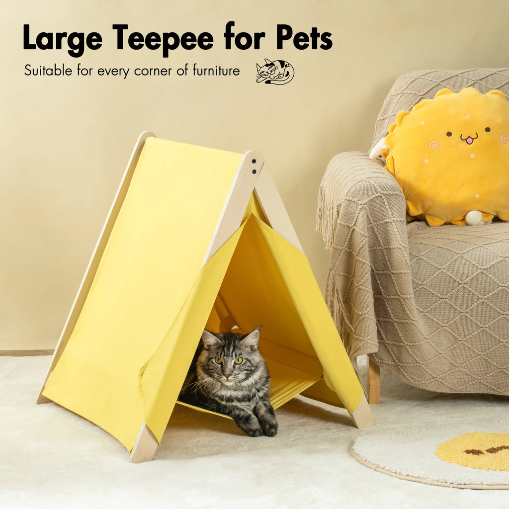 Pet Cat Tent Large Space Dry Breathable Easy To Clean