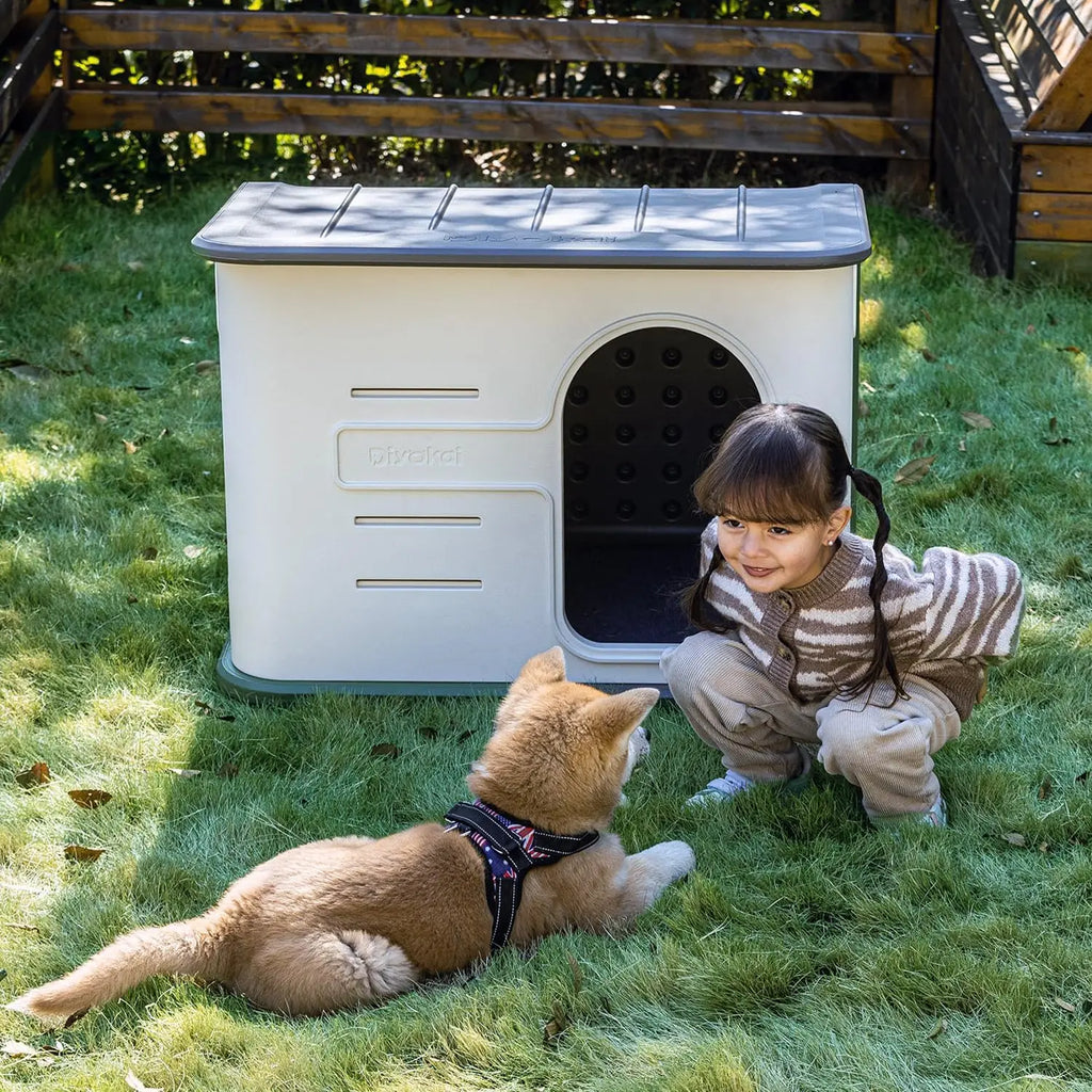 ‌Double-Wall Insulated Dog House Outdoor Indoor