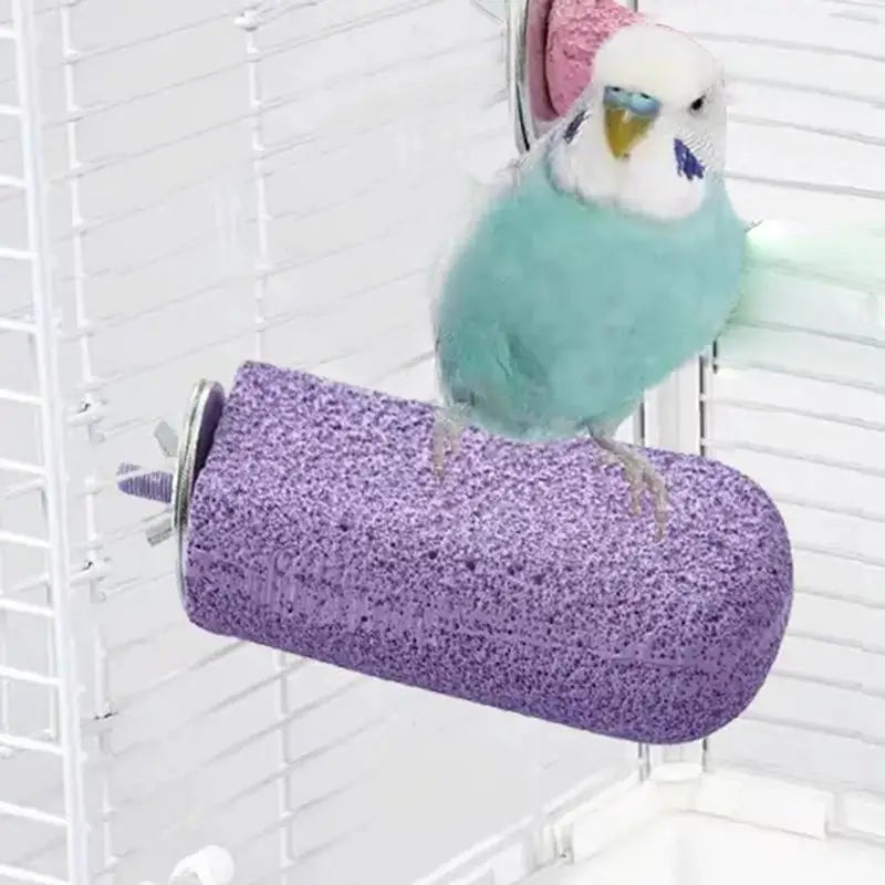 Bird Perches For Cage Ice Cream