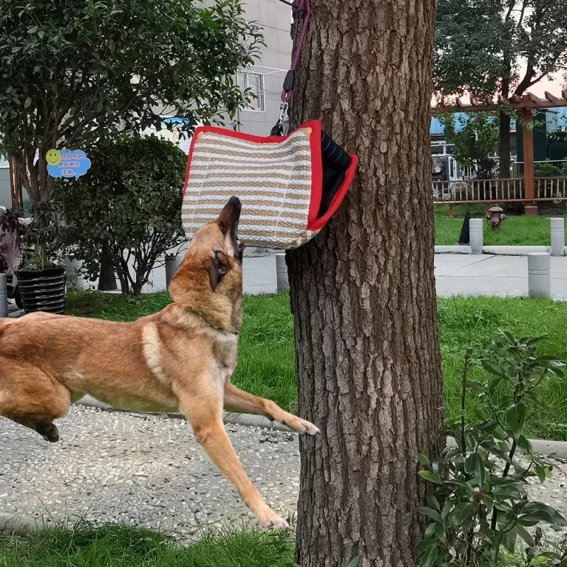 Durable Pet Training Tug