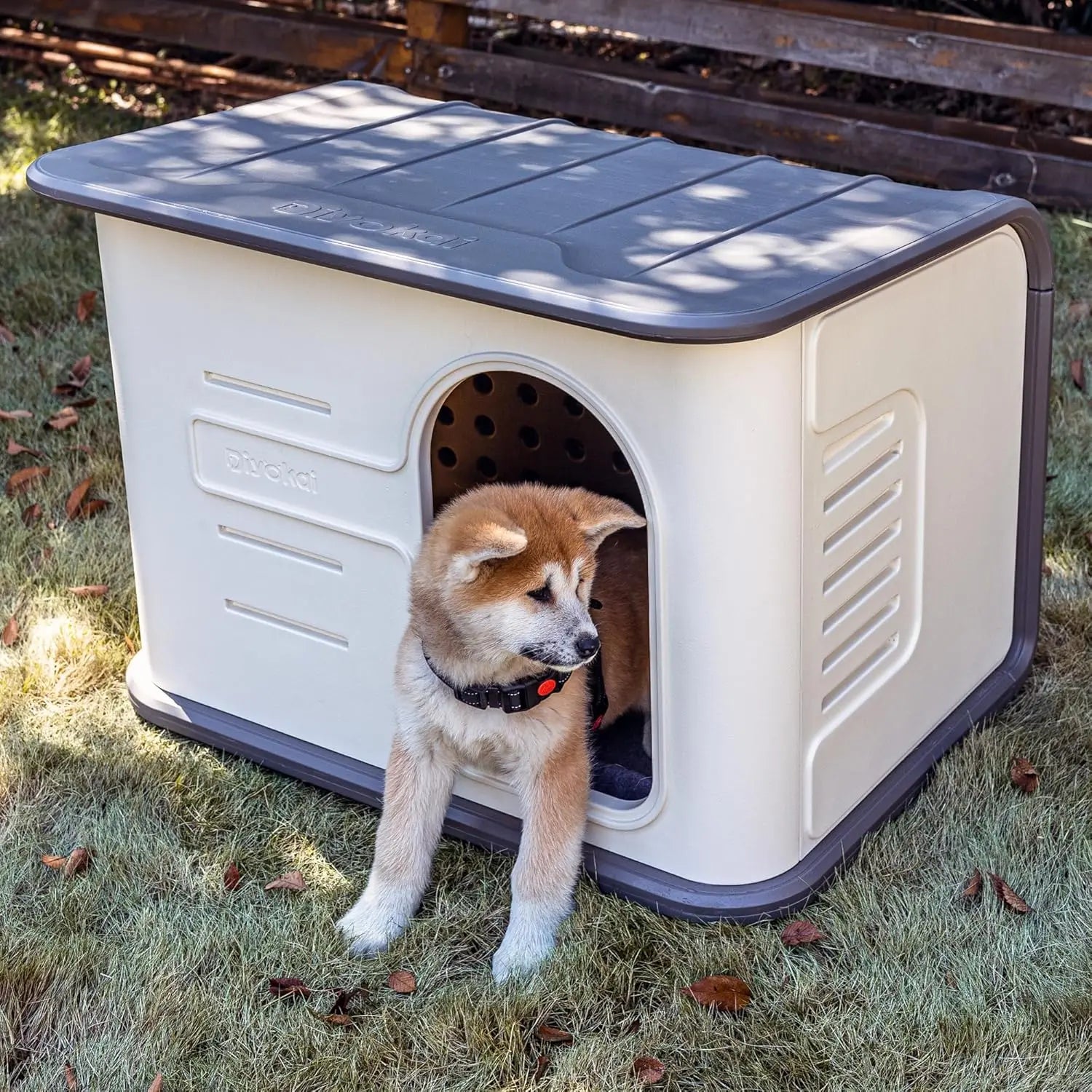 ‌Double-Wall Insulated Dog House Outdoor Indoor