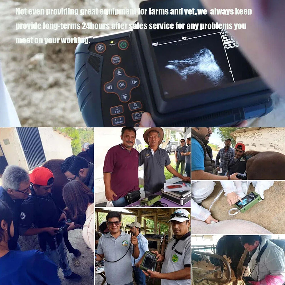 Portable Veterinary Ultrasound Scanner