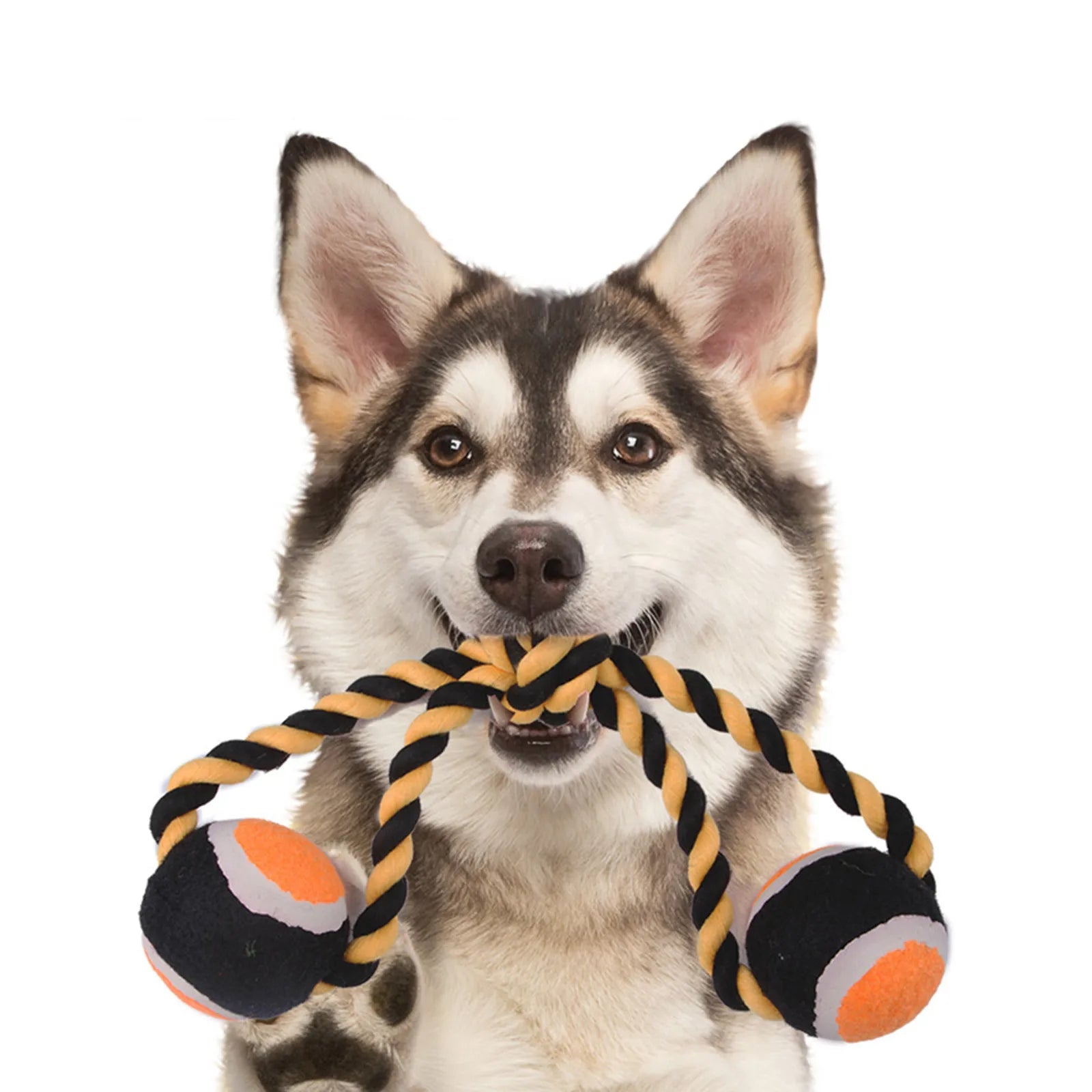 Moving Dog For Small Dogs New Pet Dog Tennis Cotton Ropes