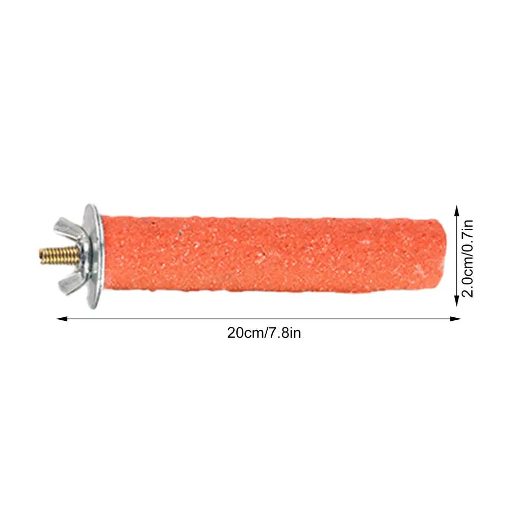 Bird Standing Stick Parrot