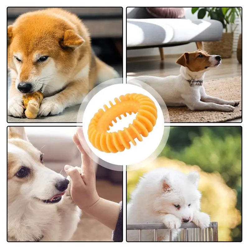 Teething Dog Toys For Puppies