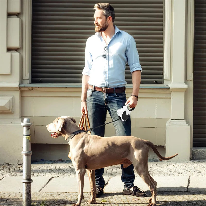 The Pet Leash Comes with a Light, Enhanced Version of the Light