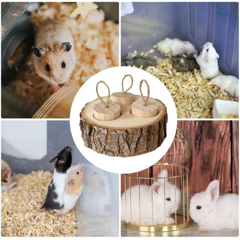 Pet Interactive Snuffle Logic Game Wooden Rabbit Hamster Plaything
