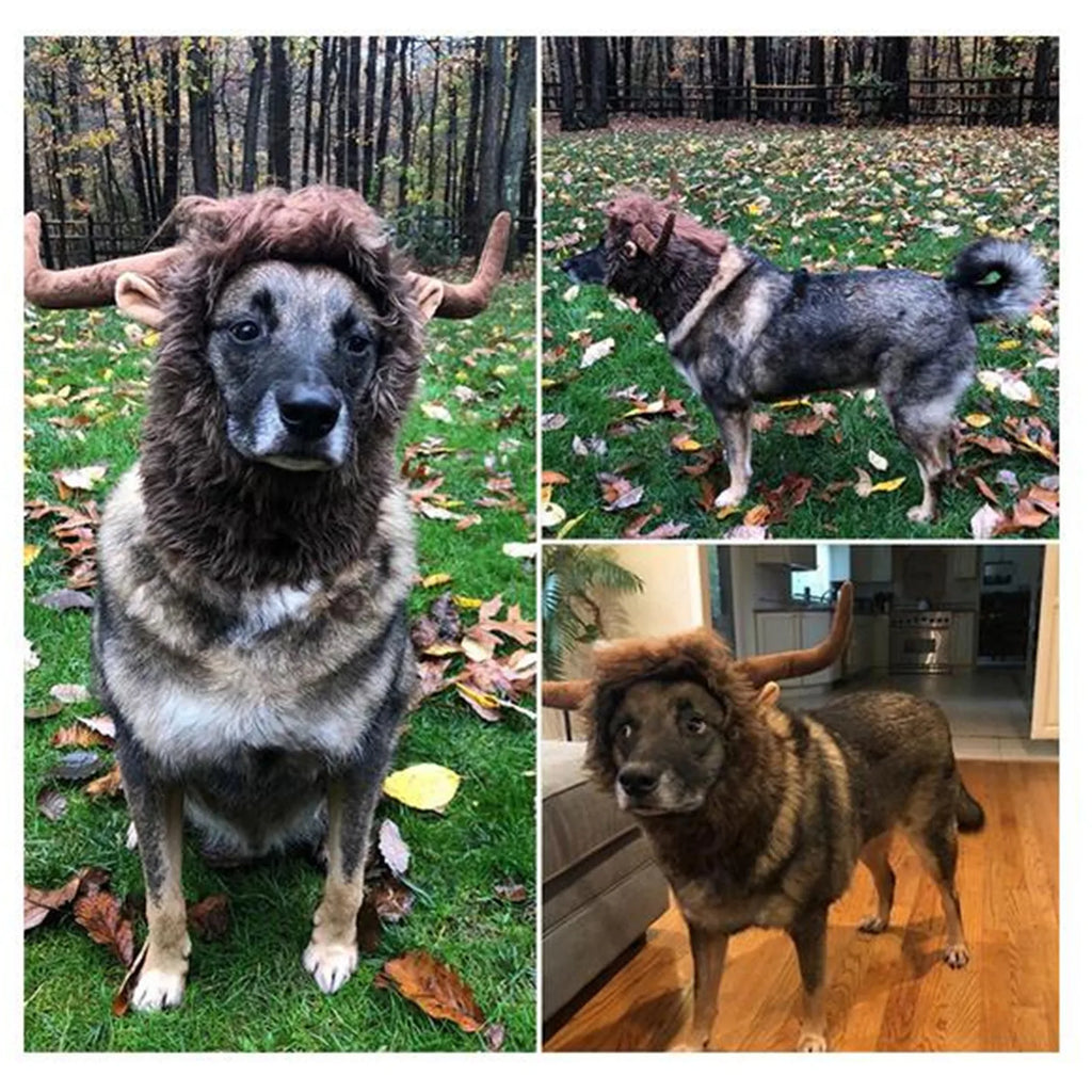 Puppy Birthday Halloween Dog Adjustable Dog Costume Bull