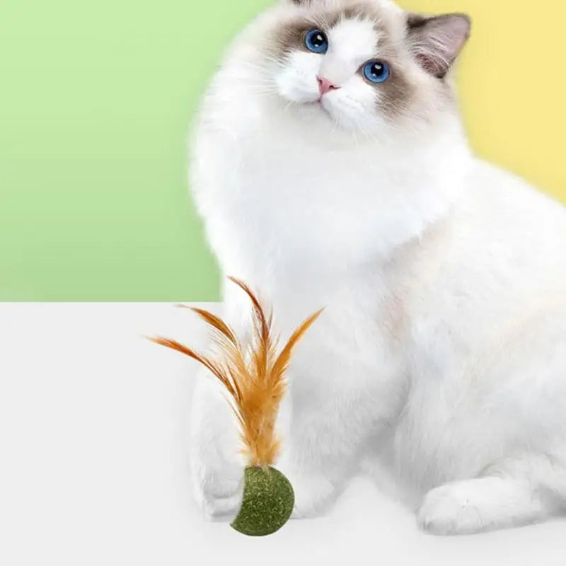 Cat Toys Catnip Kitten Catnip Feather Ball