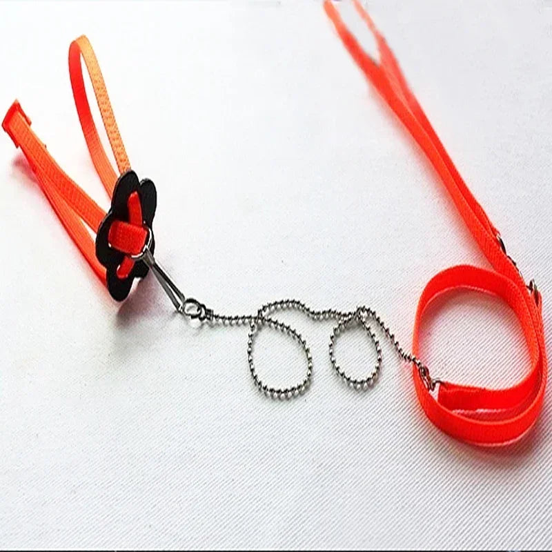 Reptile Leash Lizard Traction Rope