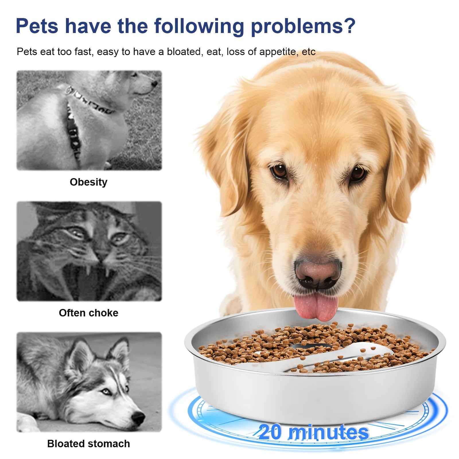 Non-Slip Mat Dog Wat Anti-Choking Pet Food Bowls