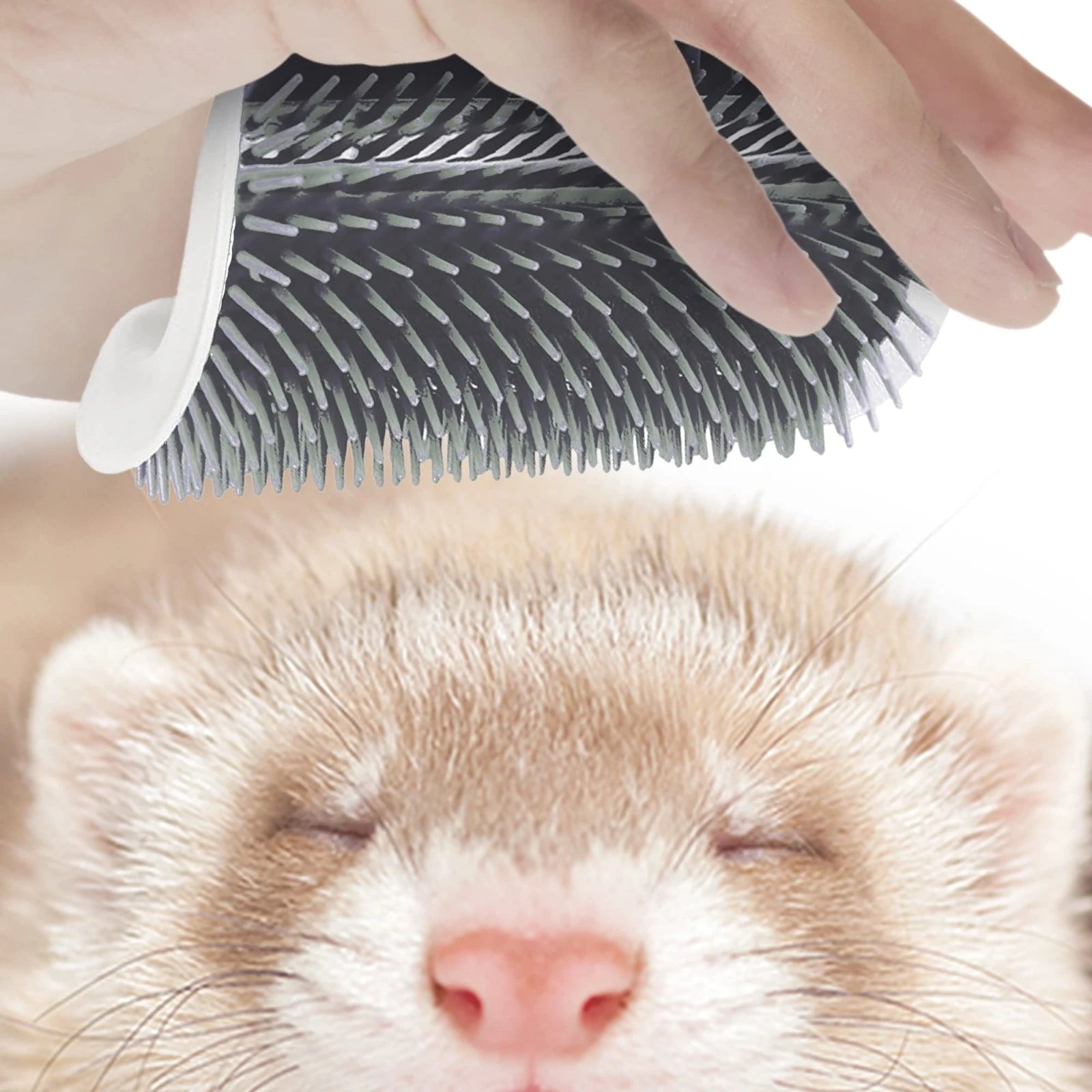 1 Piece for Fox and Cat Self-Cleaning Comb