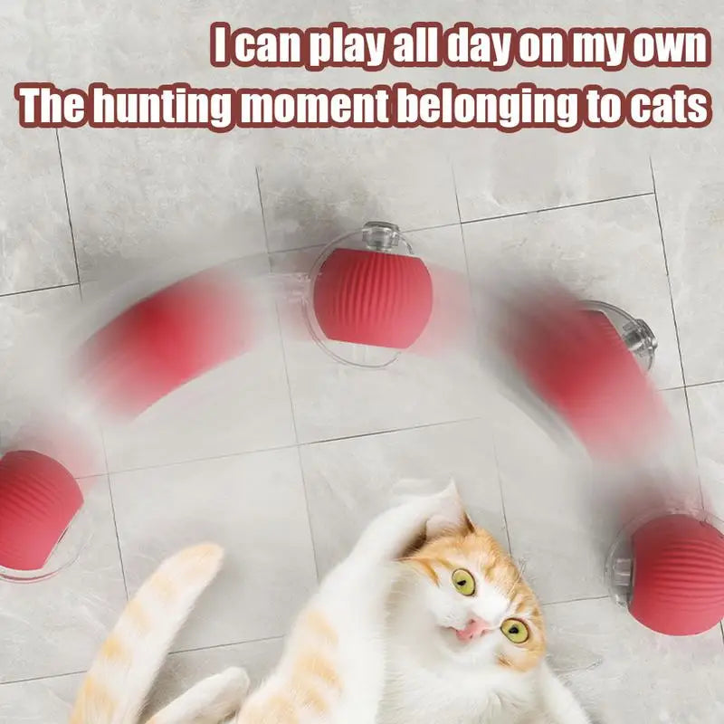 Cat Interactive Ball Toys Cat Ball Toy Automatic Rolling