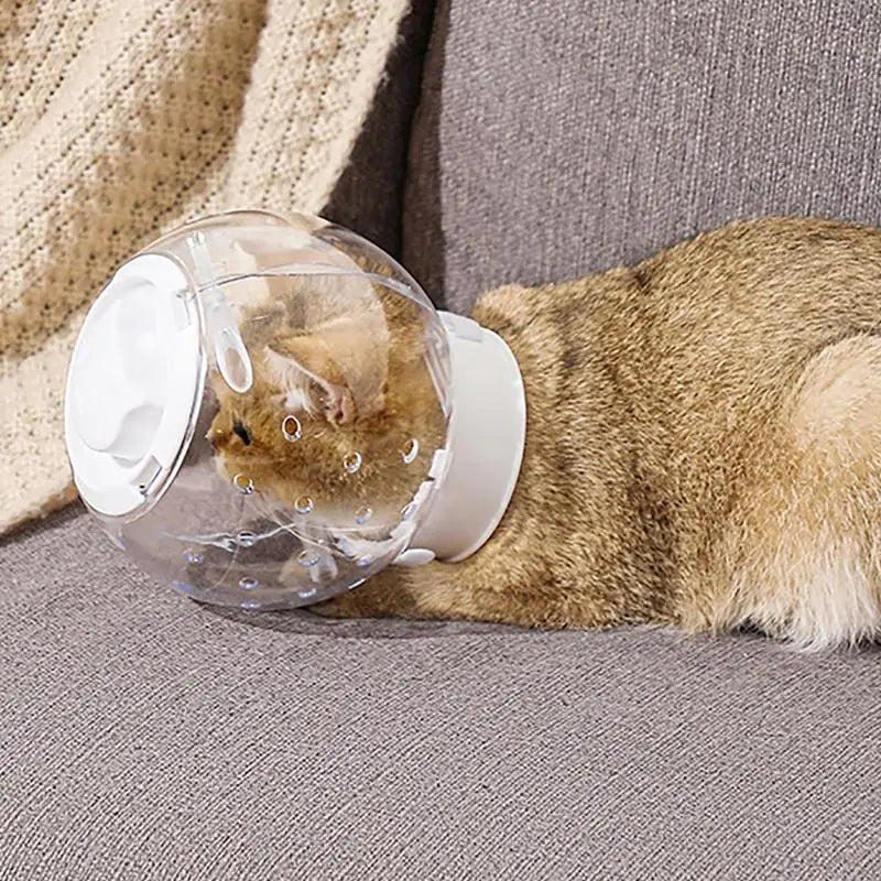 Grooming Cover Accessory Breathable Anti Bite Muzzles Clear Cat Adjustable Hood