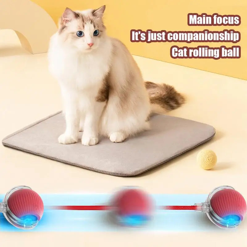 Cat Interactive Ball Toys Cat Ball Toy Automatic Rolling
