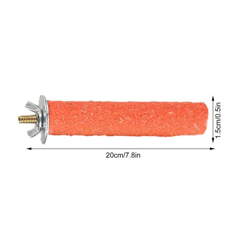 Bird Standing Stick Parrot