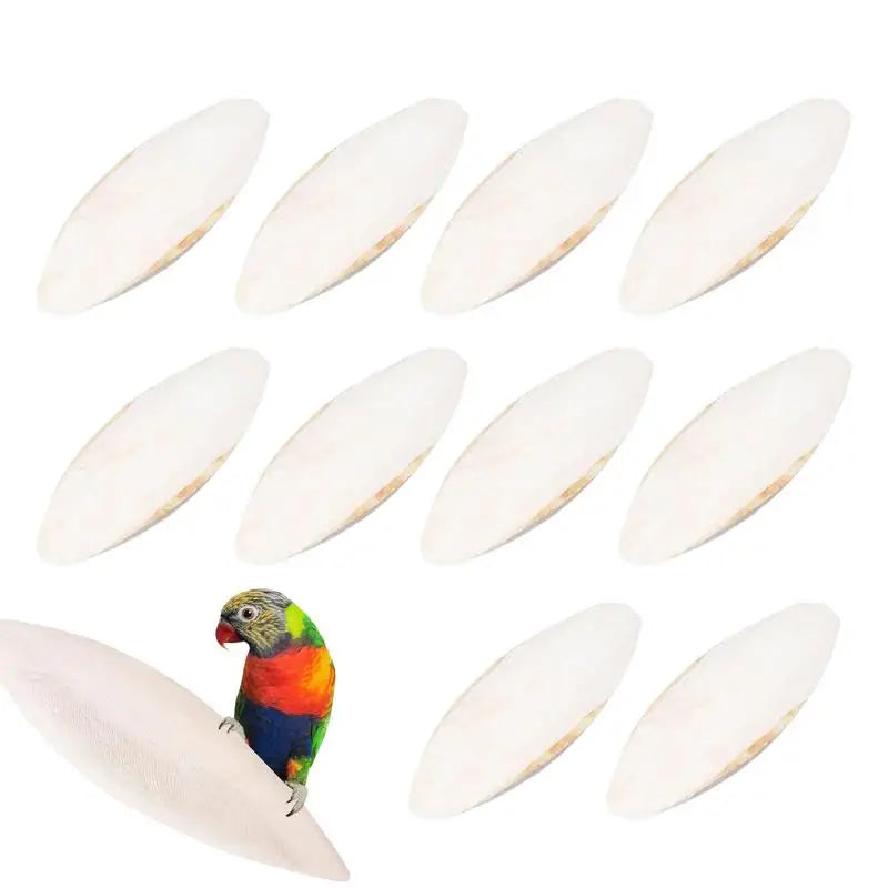 Natural Bird Cuttlebone