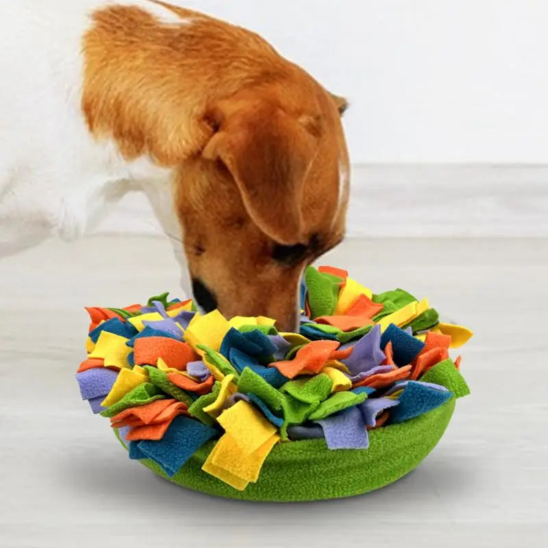Foraging Mat Dog Enrichment Toy